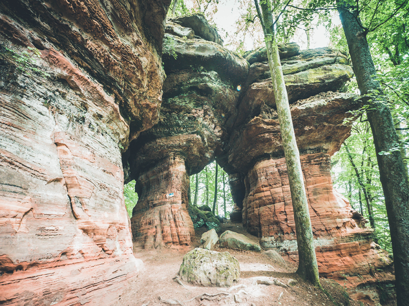 © Little Gypsy Altschlossfelsen